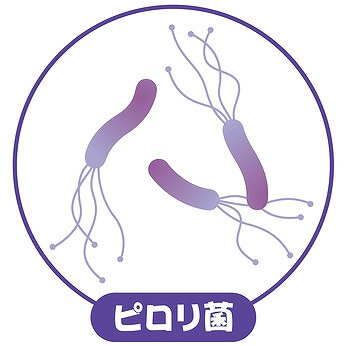 胃カメラではピロリ菌検査が可能