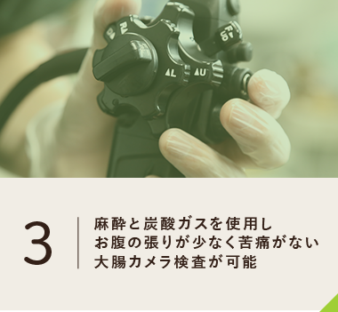 麻酔と炭酸ガスを使用し お腹の張りが少なく苦痛がない 大腸カメラ検査が可能